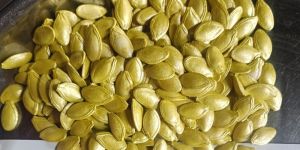 Dried Zucchini Seeds