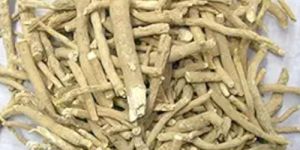 Ashwagandha Roots