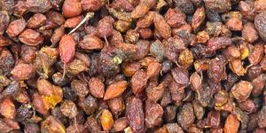 A Grade Sea Buckthorn Dried Berry