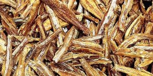 Dry Anchovies Fish