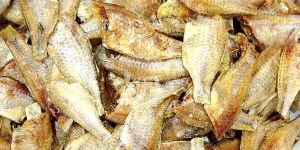Dried False White Sardine Fish