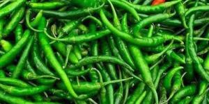 Fresh Green Chilli