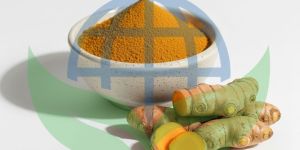 Turmeric Powder