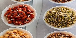 Dehydrated Sprouted Pulses