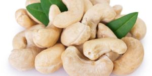 premium quality cashew nuts