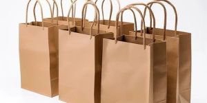Brown Virgin Kraft Paper Bag
