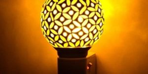 Electric Kapoor Dani