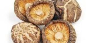 Dried Shiitake Mushroom