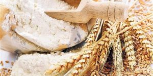 Pure Wheat Flour