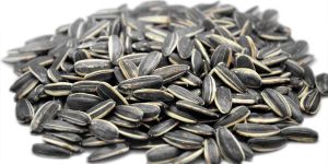 Raw Sunflower Seeds