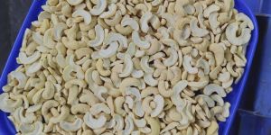 Broken Wjh Cashew Nuts