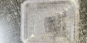 Hinged Clamshell Container