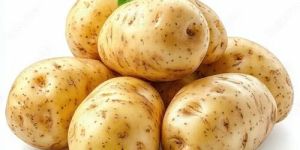 Fresh Potato