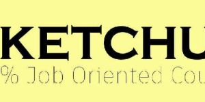 Google Sketchup Training Course