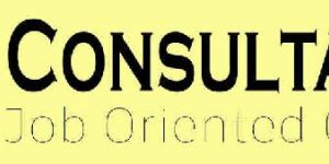 Job Consultation
