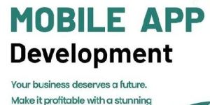 Ecommerce Development