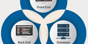 Full Stack Development Training