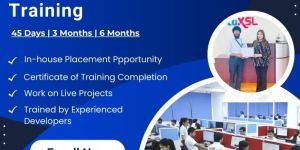 Graphics Designing Training