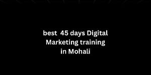 Best 45 days Digital Marketing Training in Mohali