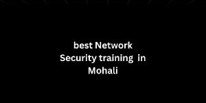 Best Network Security Training in Mohali