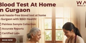 Blood Test Service in Gurgaon - Wad Health
