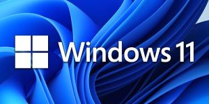 Window Installation Service