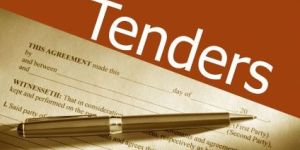 Government Tender processing services