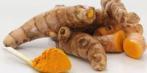 Organic Turmeric Finger
