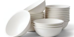 Bagasse Bowls / Container