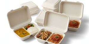 Bagasse Takeaway Food Container