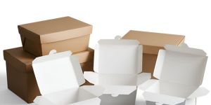 Paper Food Boxes