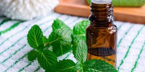 Peppermint Essential Oil