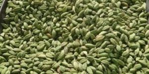 Green Cardamom