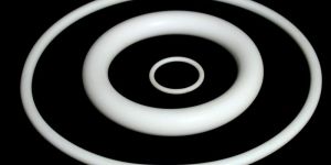 PTFE O Rings