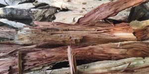 Red Sandalwood Powder