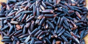 Medium Grain Black Rice