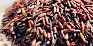 Organic Black Rice