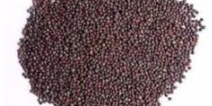 Mustard Seeds
