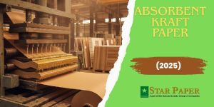 Absorbent Kraft Paper