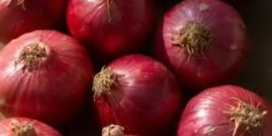 Red Onion