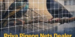 Pigeon Protection Nets