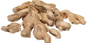 Dehydrated Ginger