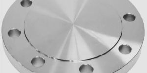 Stainless Steel Blind Flange