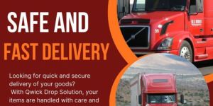 Packers Movers