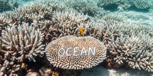 Semi Precious Natural Gemstones