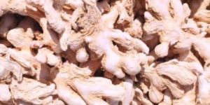 Dry Ginger
