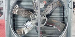 Poultry Farm Exhaust Fan
