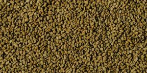 Fenugreek Seeds