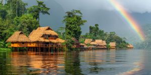 Holiday Packages