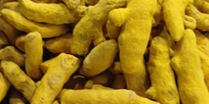 Turmeric Finger